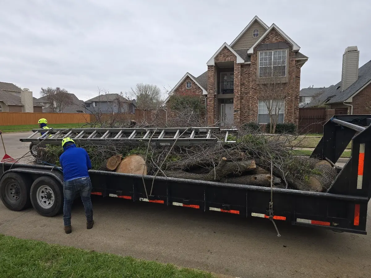 Expert Tree Fertilization with proper safety equipment in Rapelje